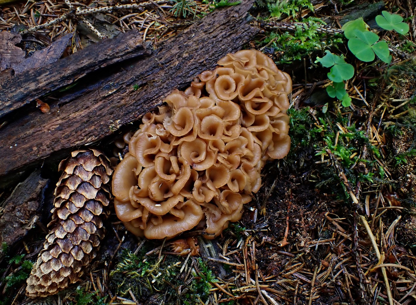 20250830 Myko Harr (14)