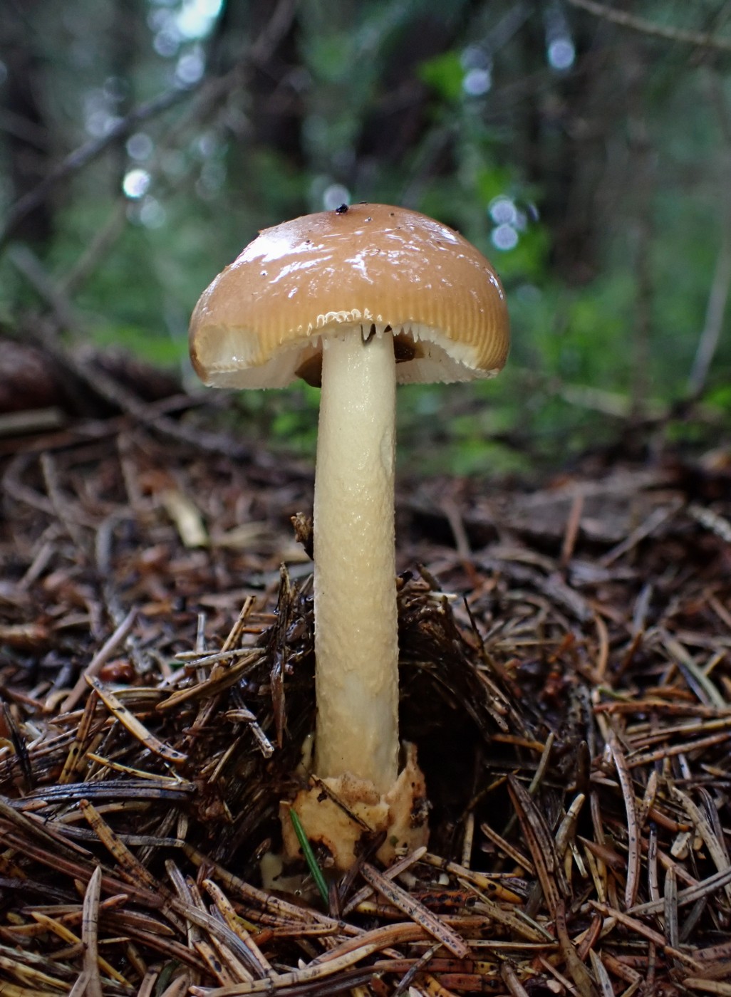 20250830 Myko Harr (15)