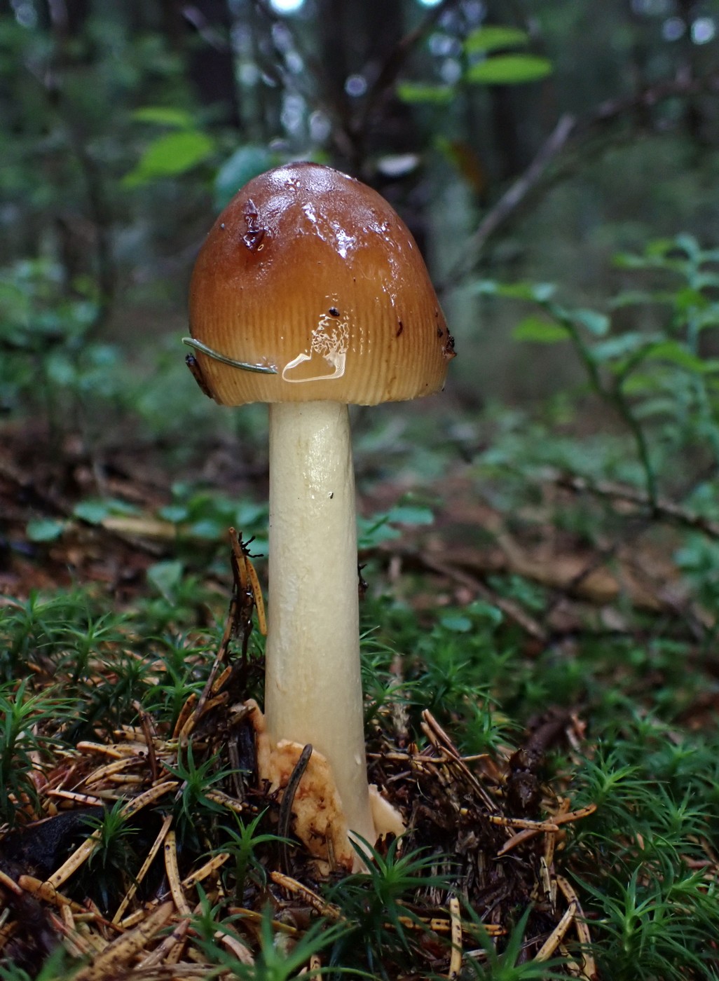 20250830 Myko Harr (16)