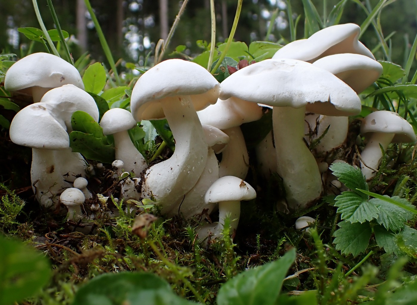 20250830 Myko Harr (17)