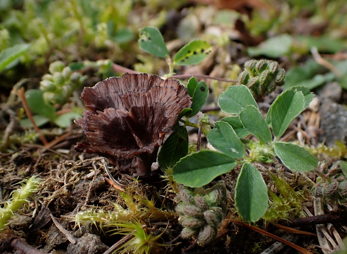 20250830 Myko Harr (18)