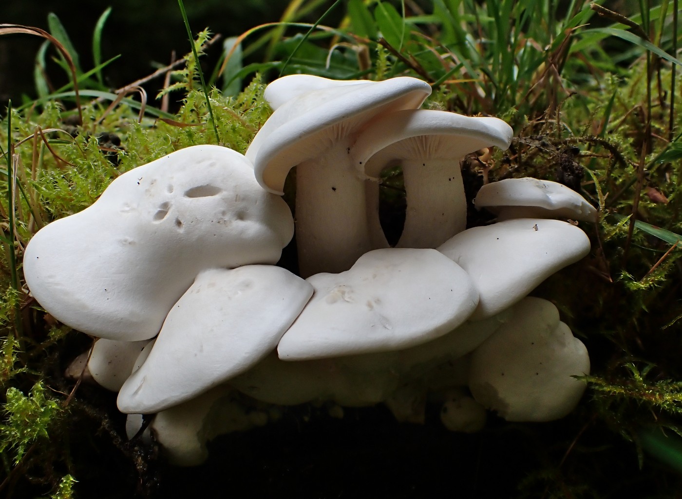 20250830 Myko Harr (20)