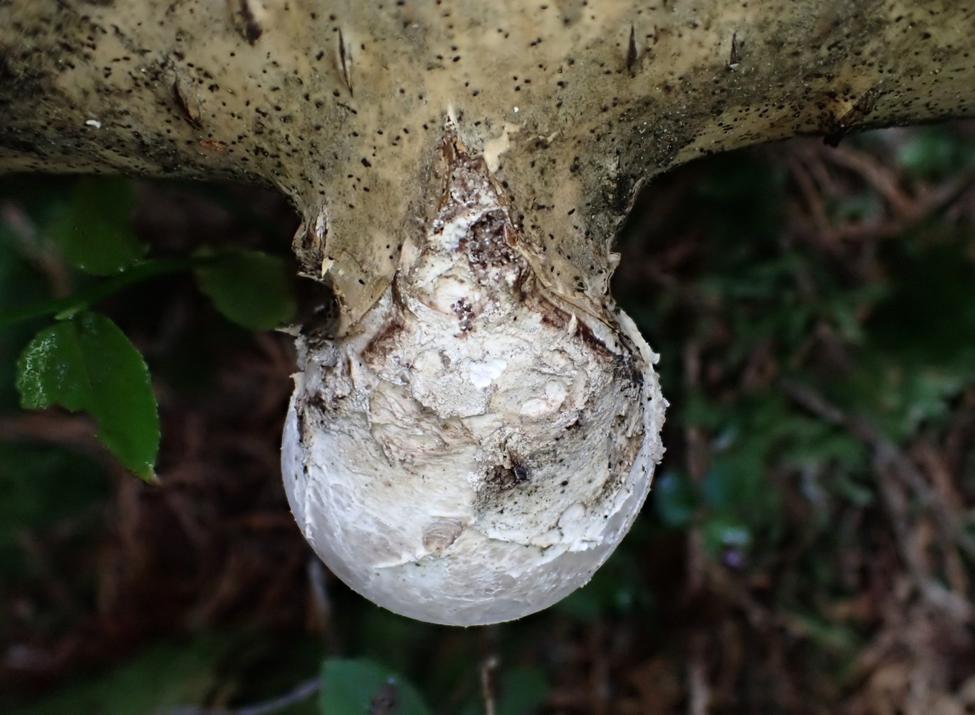 20250902 Myko Harr (1)