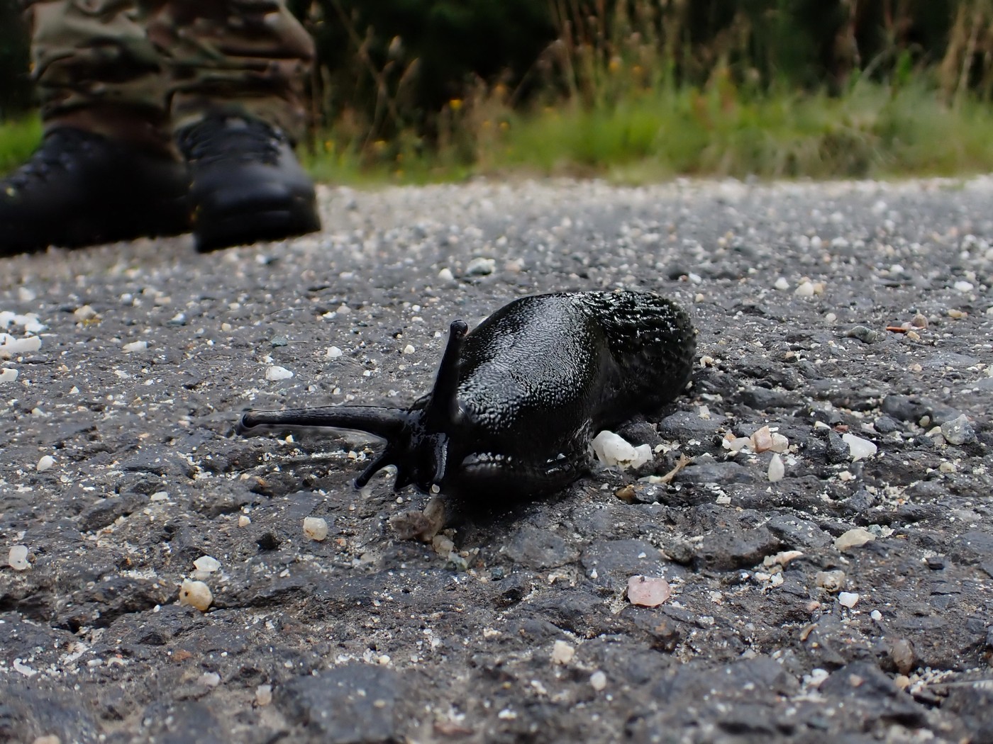 20250902 Myko Harr (3)