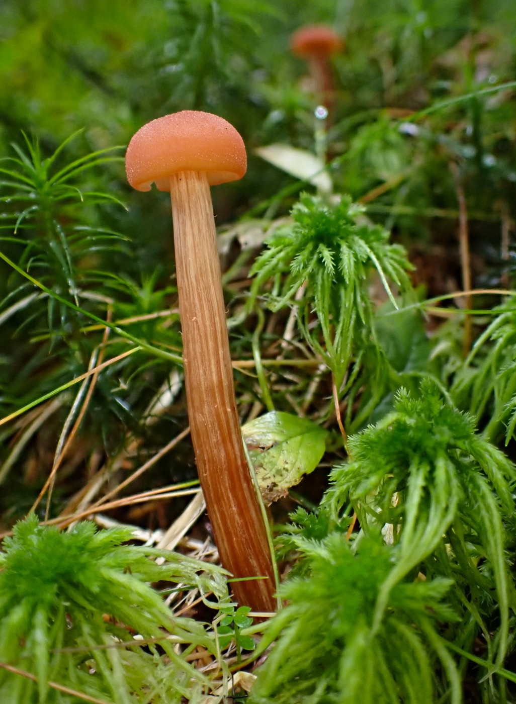 20250902 Myko Harr (5)