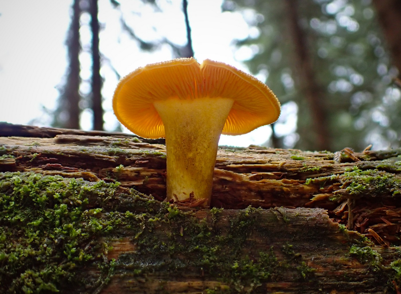 20250902 Myko Harr (6)