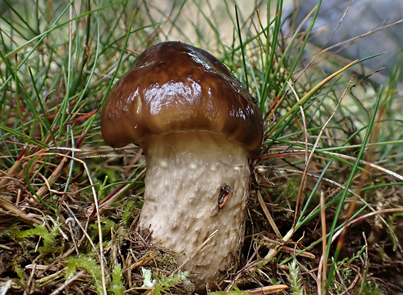 20250902 Myko Harr (7)