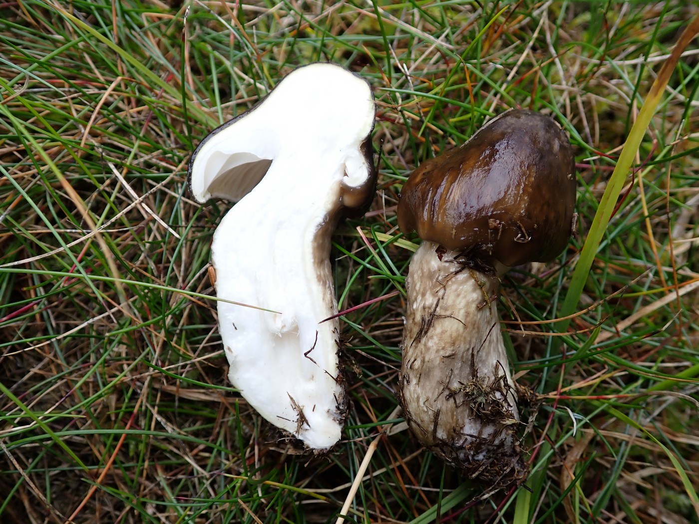 20250902 Myko Harr (8)