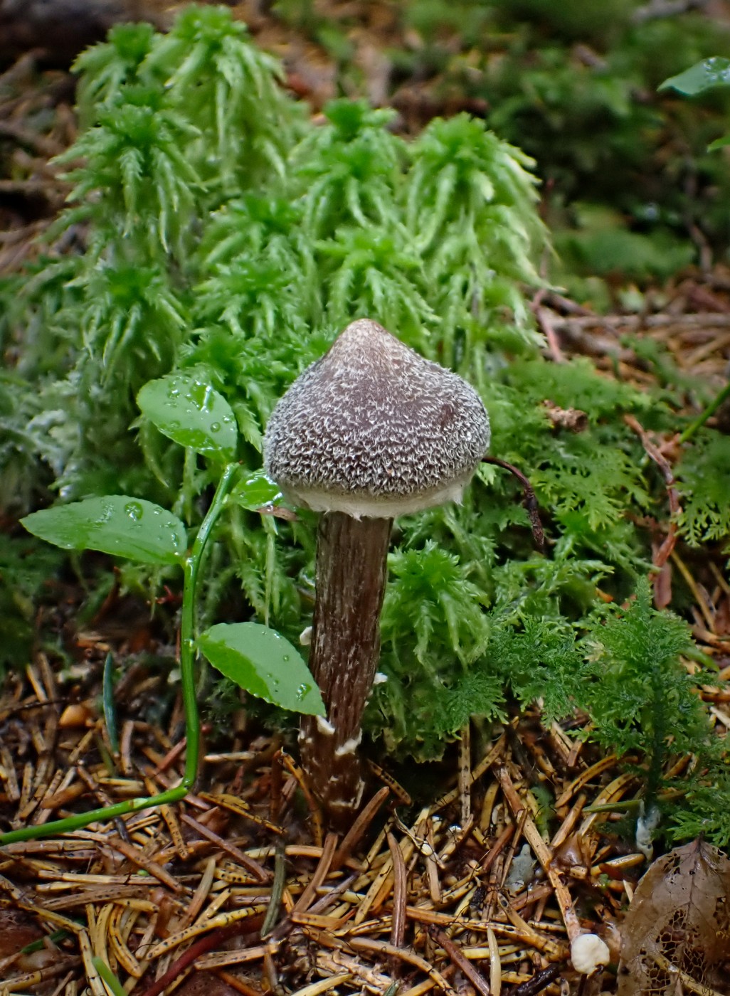 20250902 Myko Harr (9)