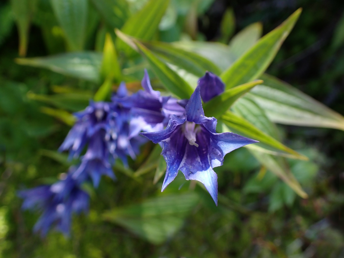 20250903 Myko PL (13)