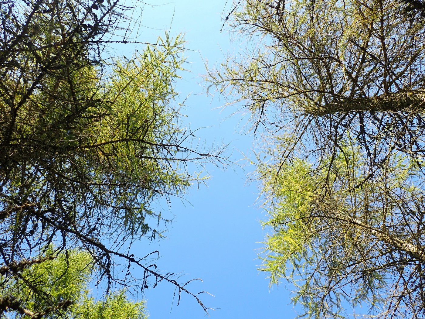 20250903 Myko PL (14)