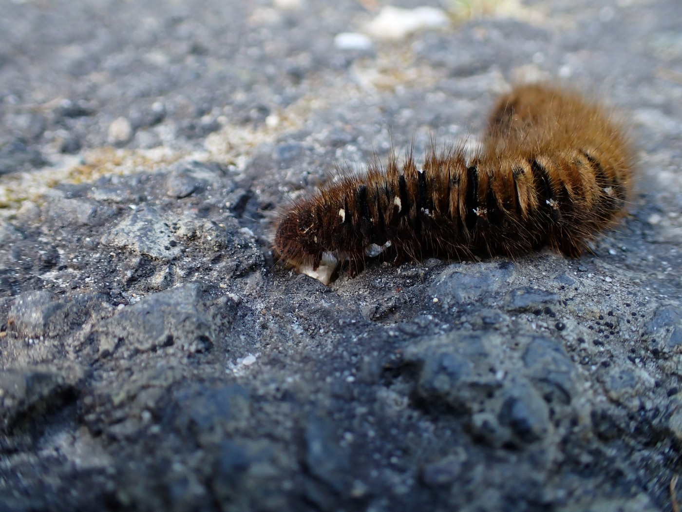 20250903 Myko PL (16)