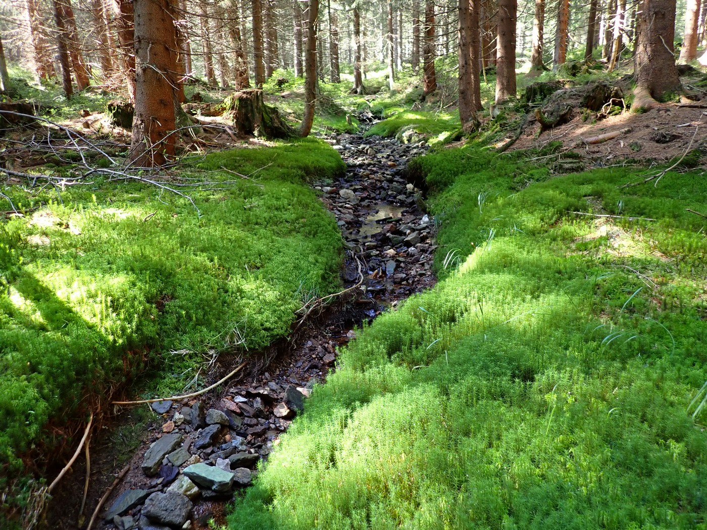 20250903 Myko PL (18)