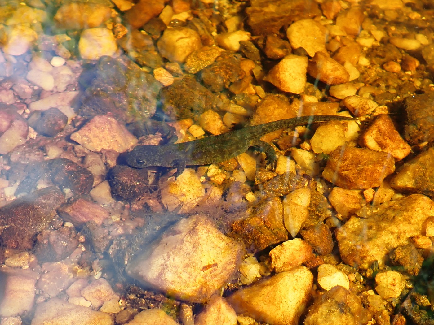 20250903 Myko PL (20)