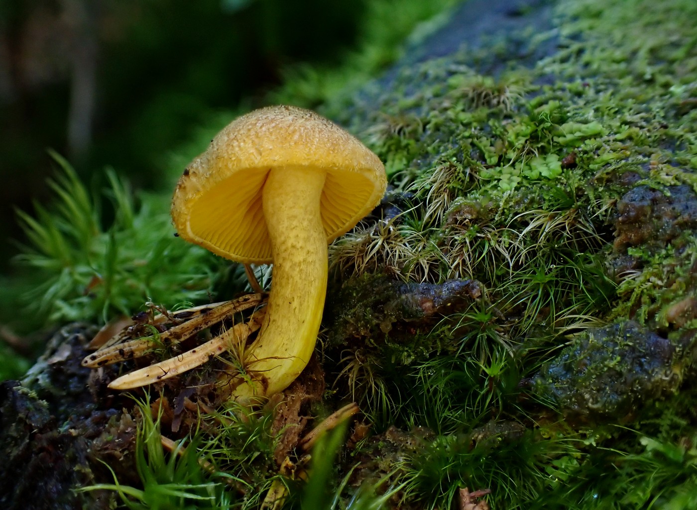 20250903 Myko PL (25)