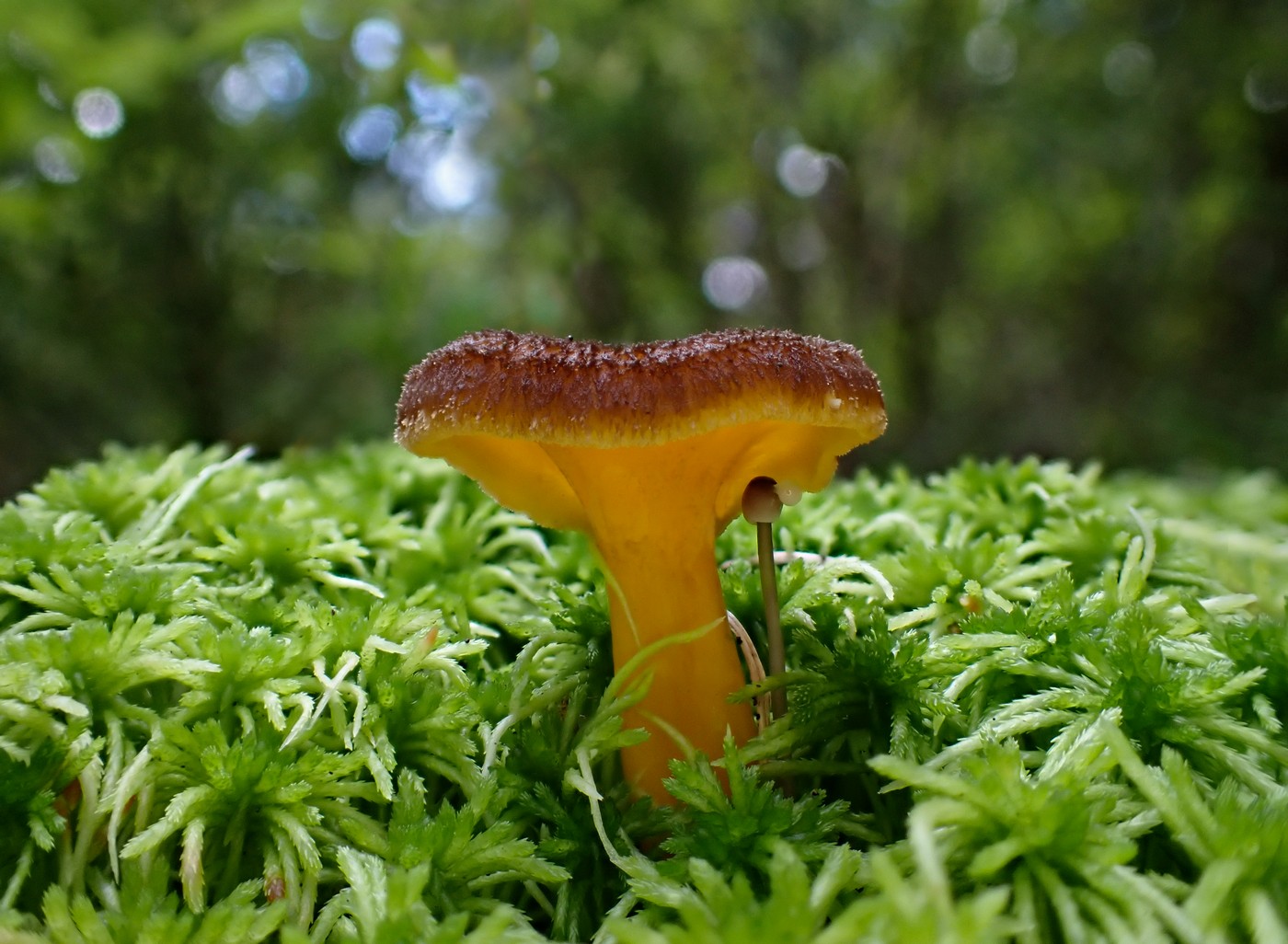 20250909 Myko Harr (12)