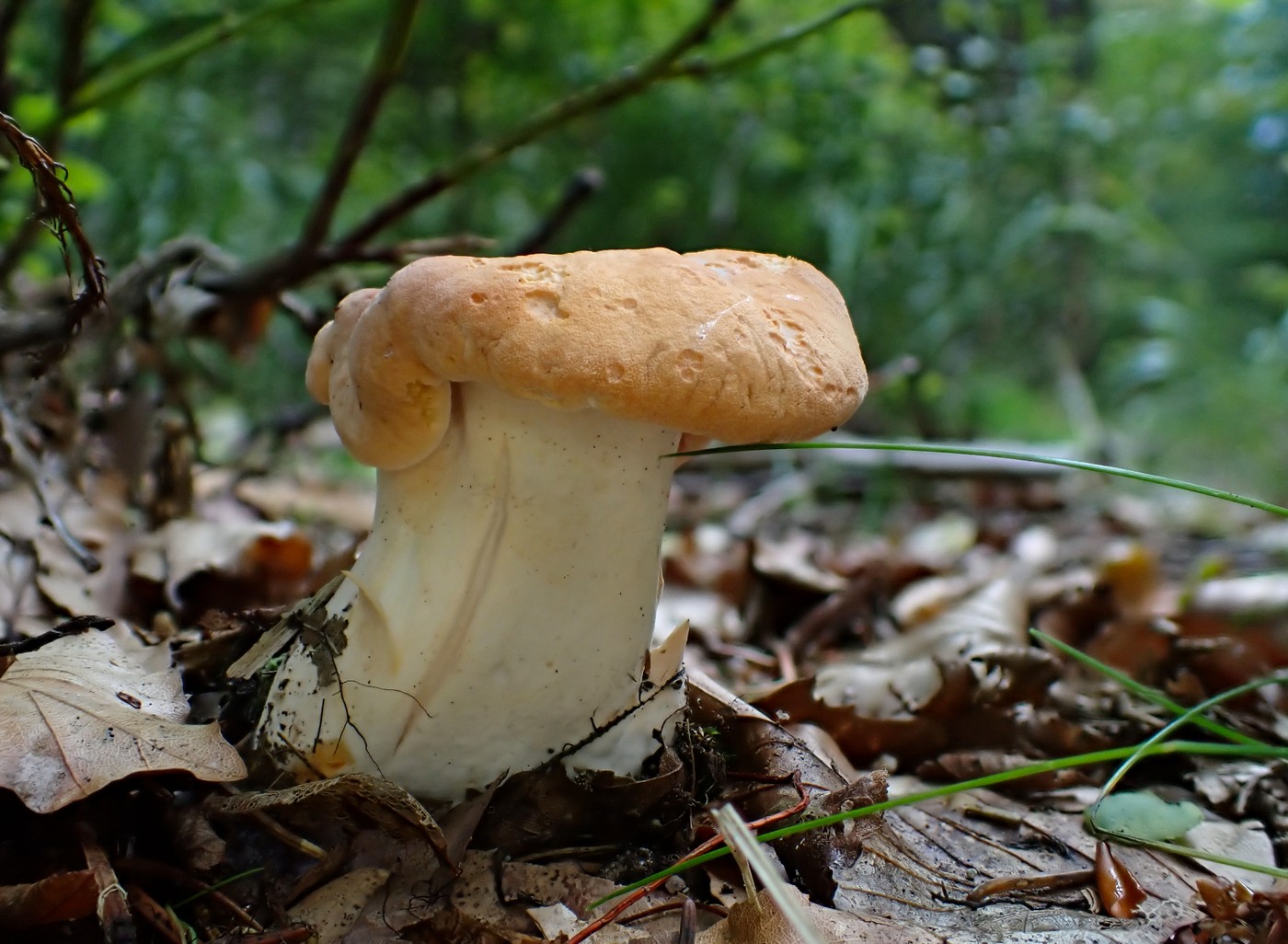 20250909 Myko Harr (16)