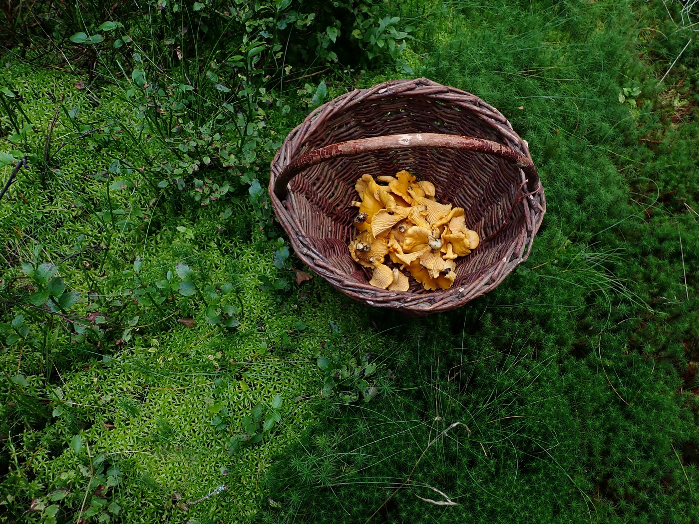 20250909 Myko Harr (18)