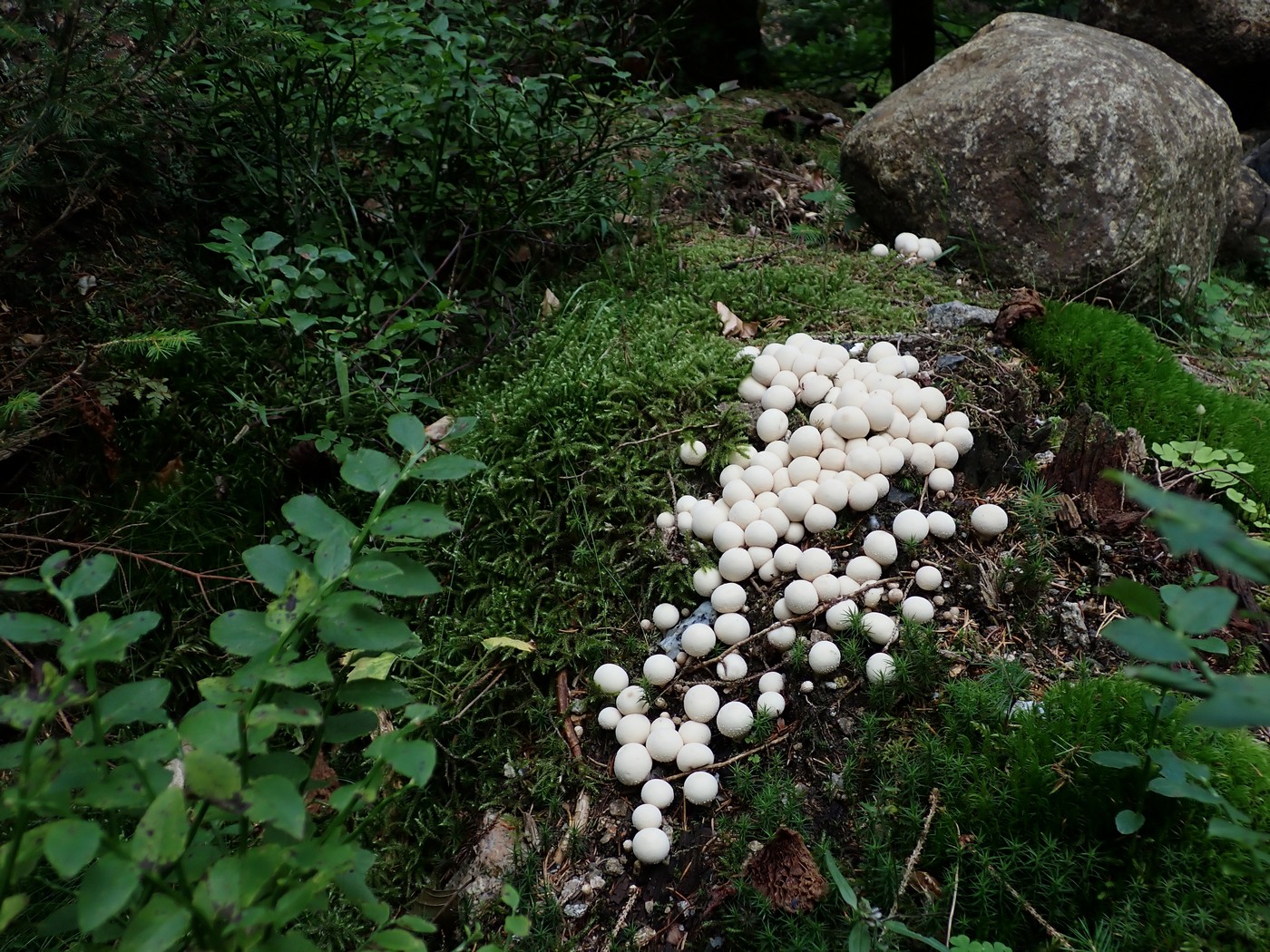 20250909 Myko Harr (19)