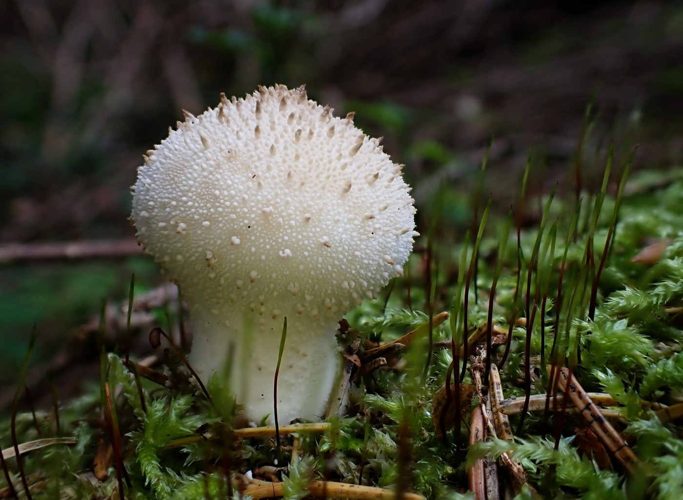 20250909 Myko Harr (22)