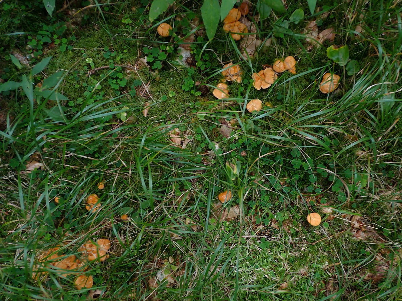 20250909 Myko Harr (24)