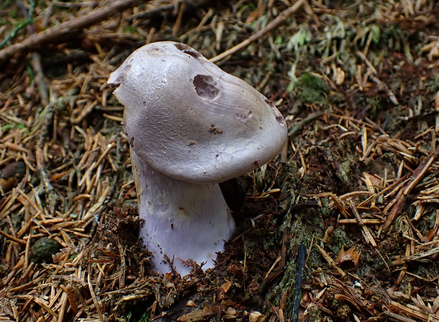 20250910 Myko Harr (12)