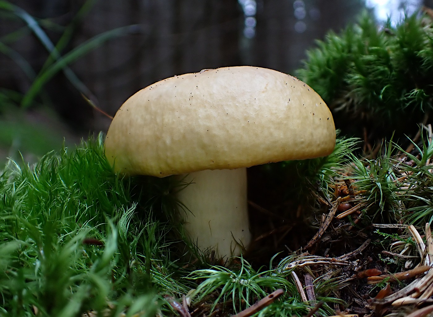 20250910 Myko Harr (17)