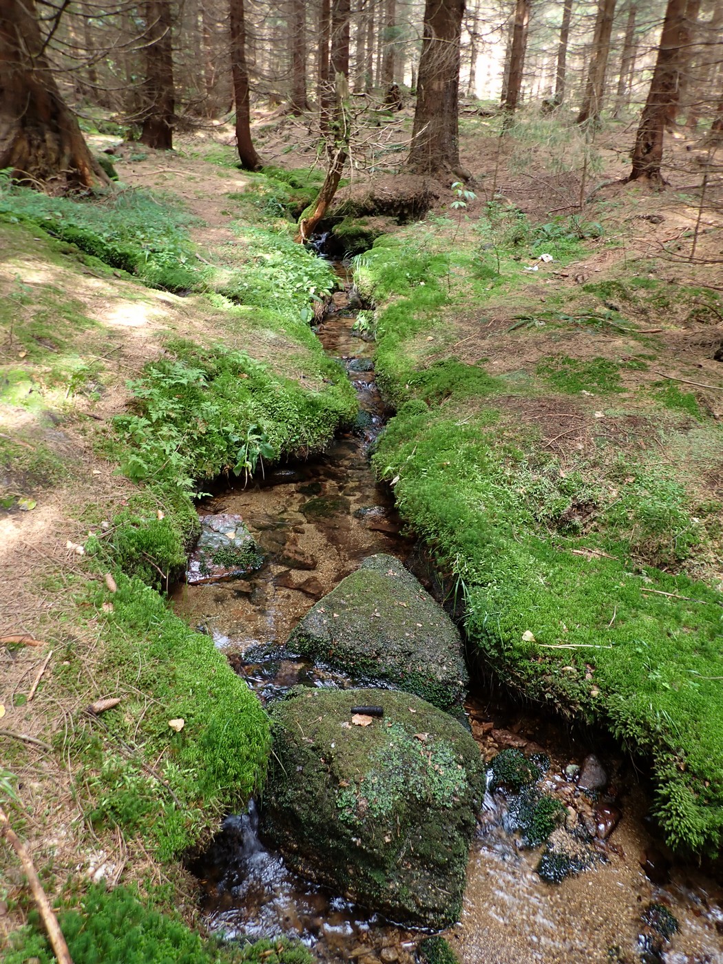 20250910 Myko Harr (19)