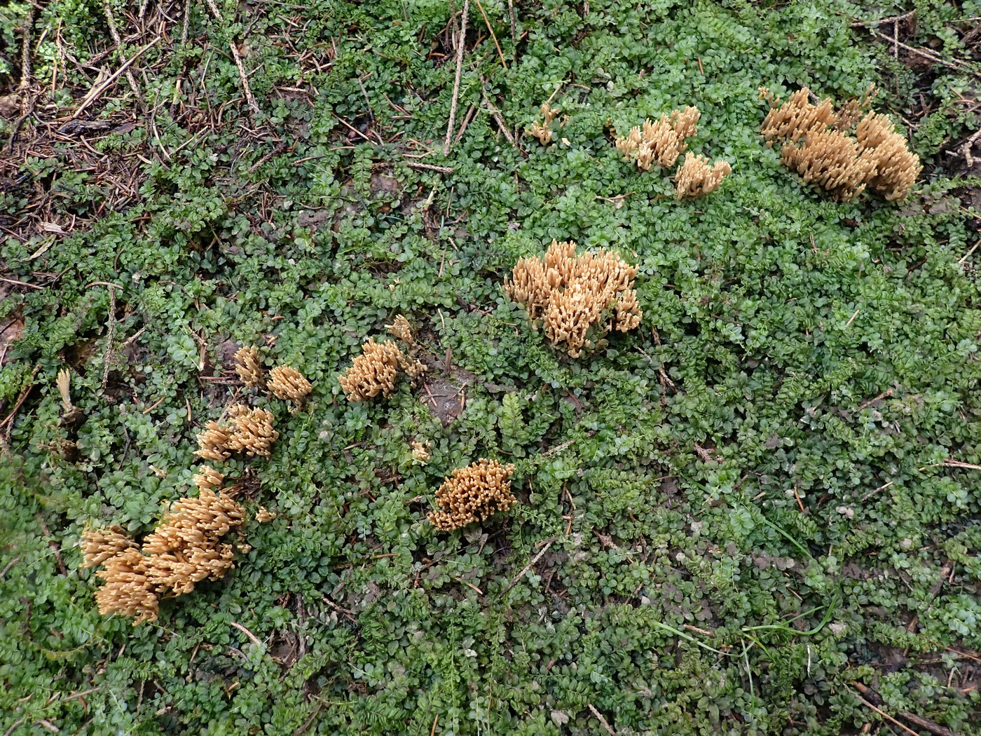 20250910 Myko Harr (20)