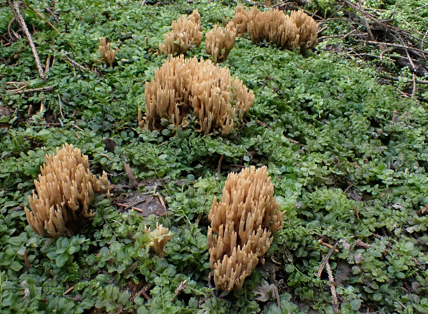 20250910 Myko Harr (21)