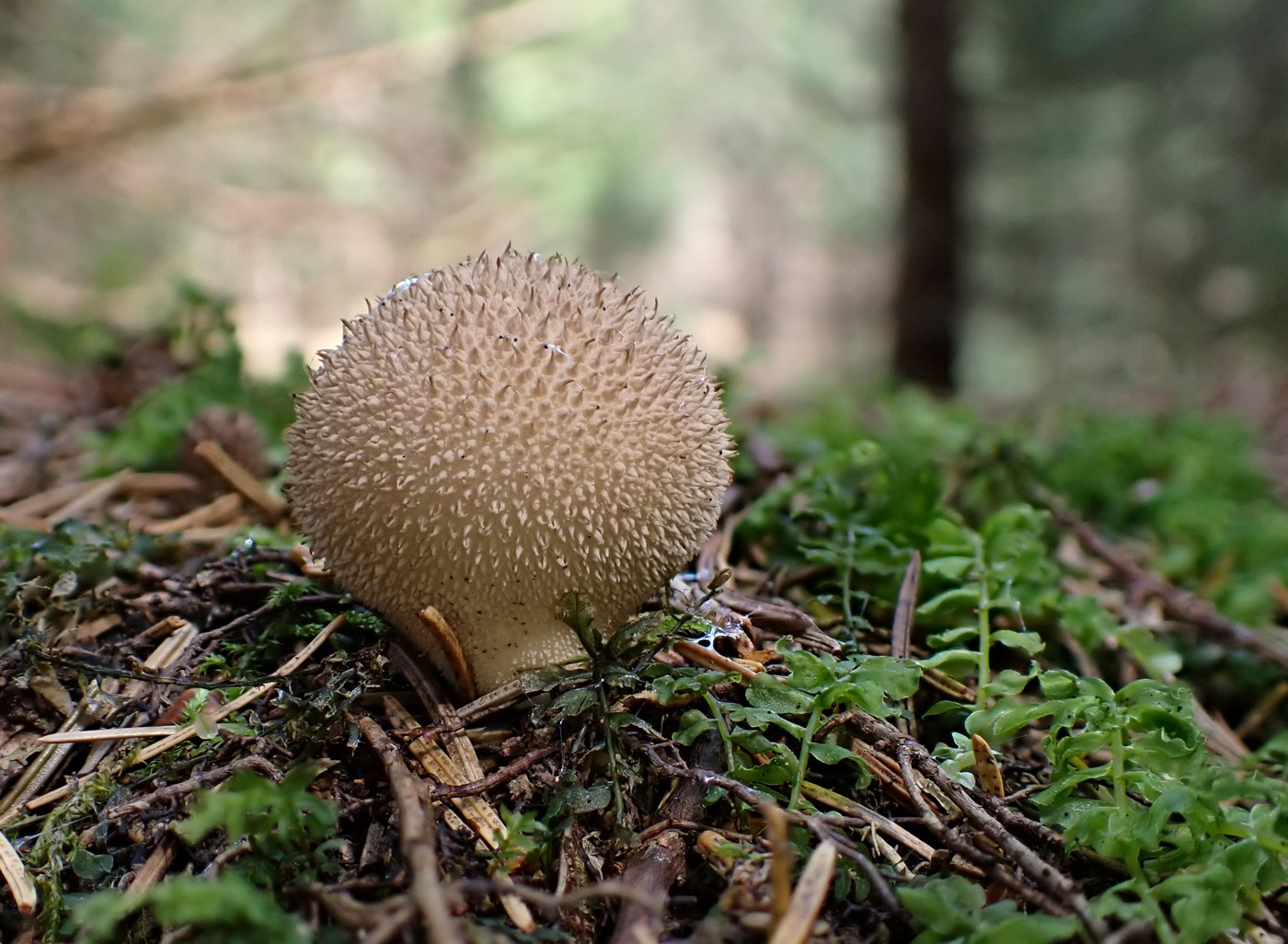 20250910 Myko Harr (23)