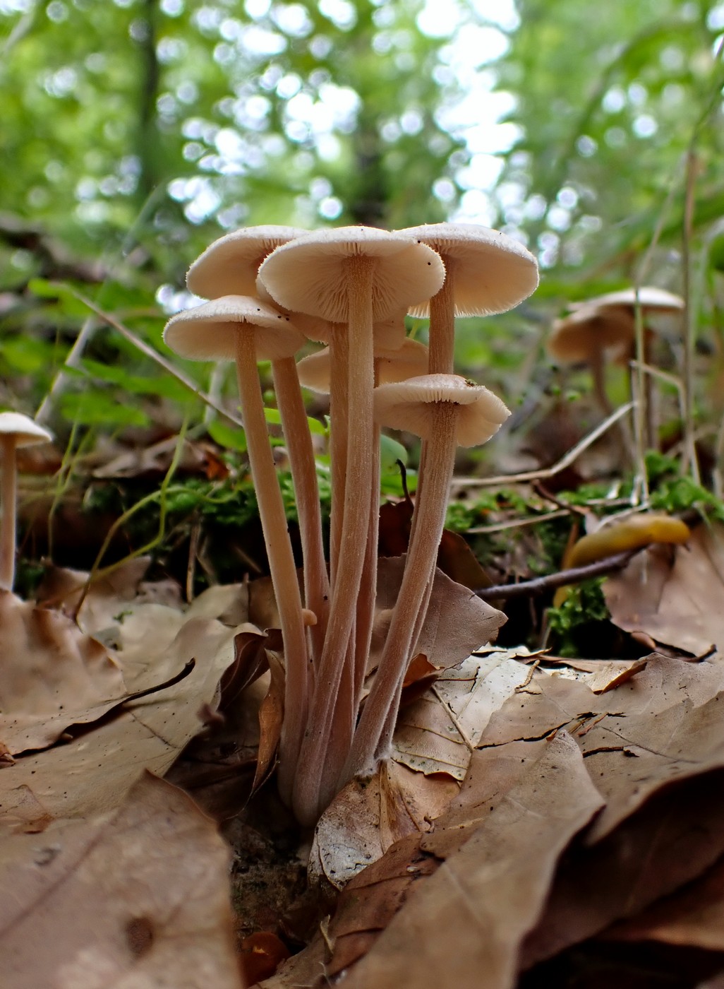 20250910 Myko Harr (25)