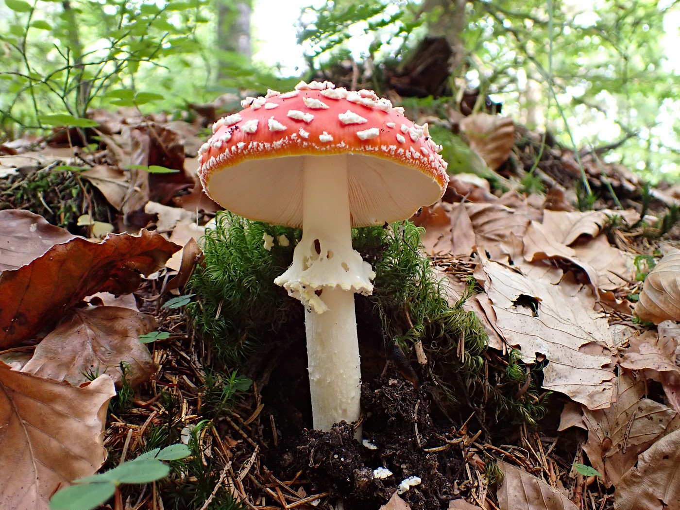 20250910 Myko Harr (28)