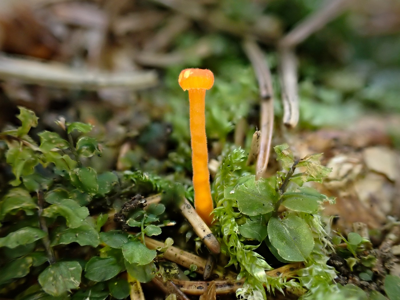 20250910 Myko Harr (29)