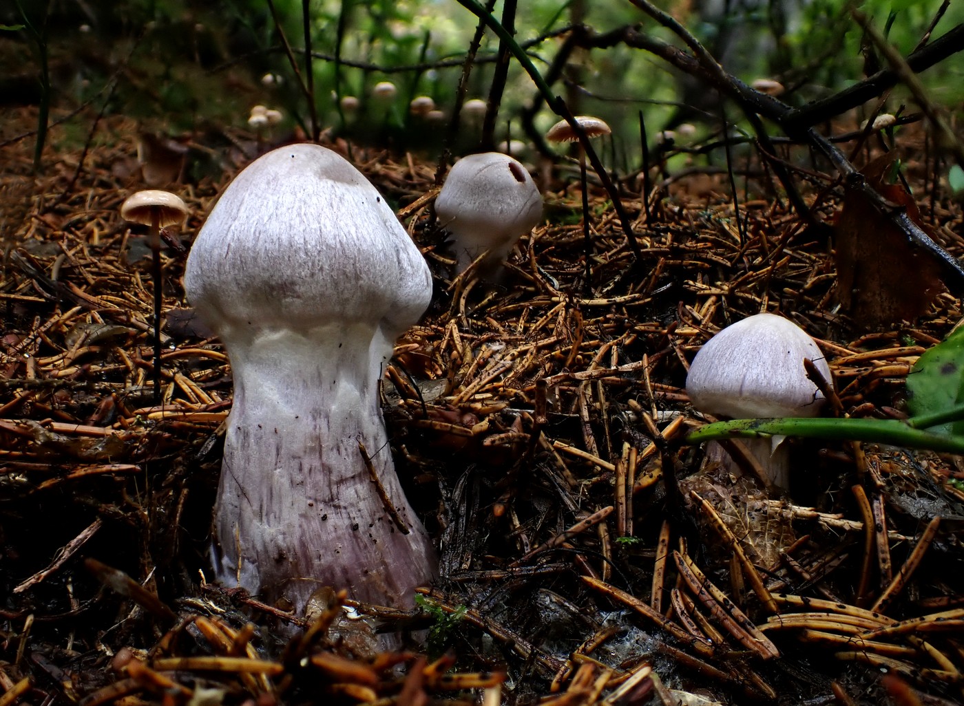 20250911 Myko Harr (2)