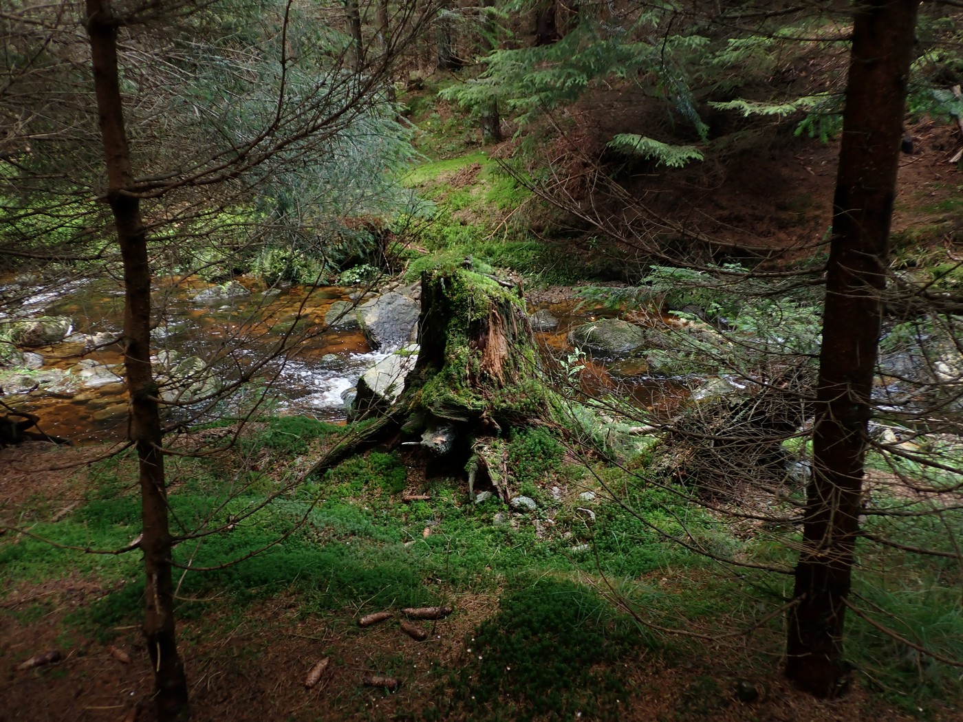 20250911 Myko Harr (7)