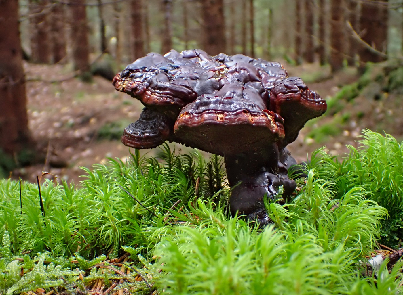 20250916 Myko Harr (1)