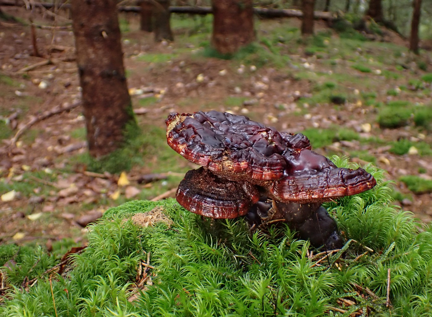 20250916 Myko Harr (2)