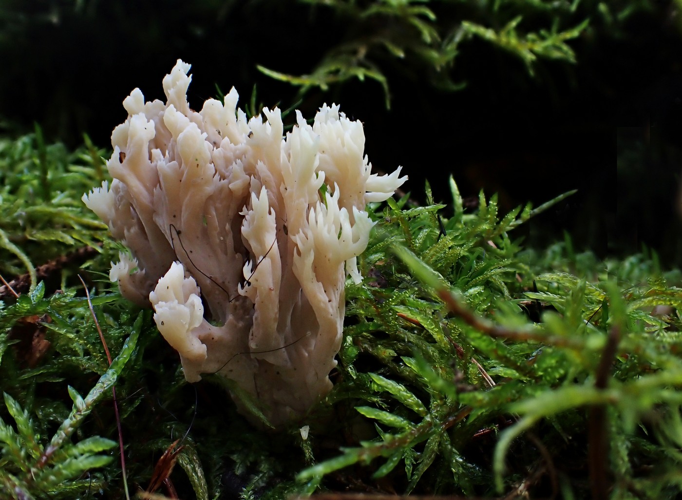 20250916 Myko Harr (4)