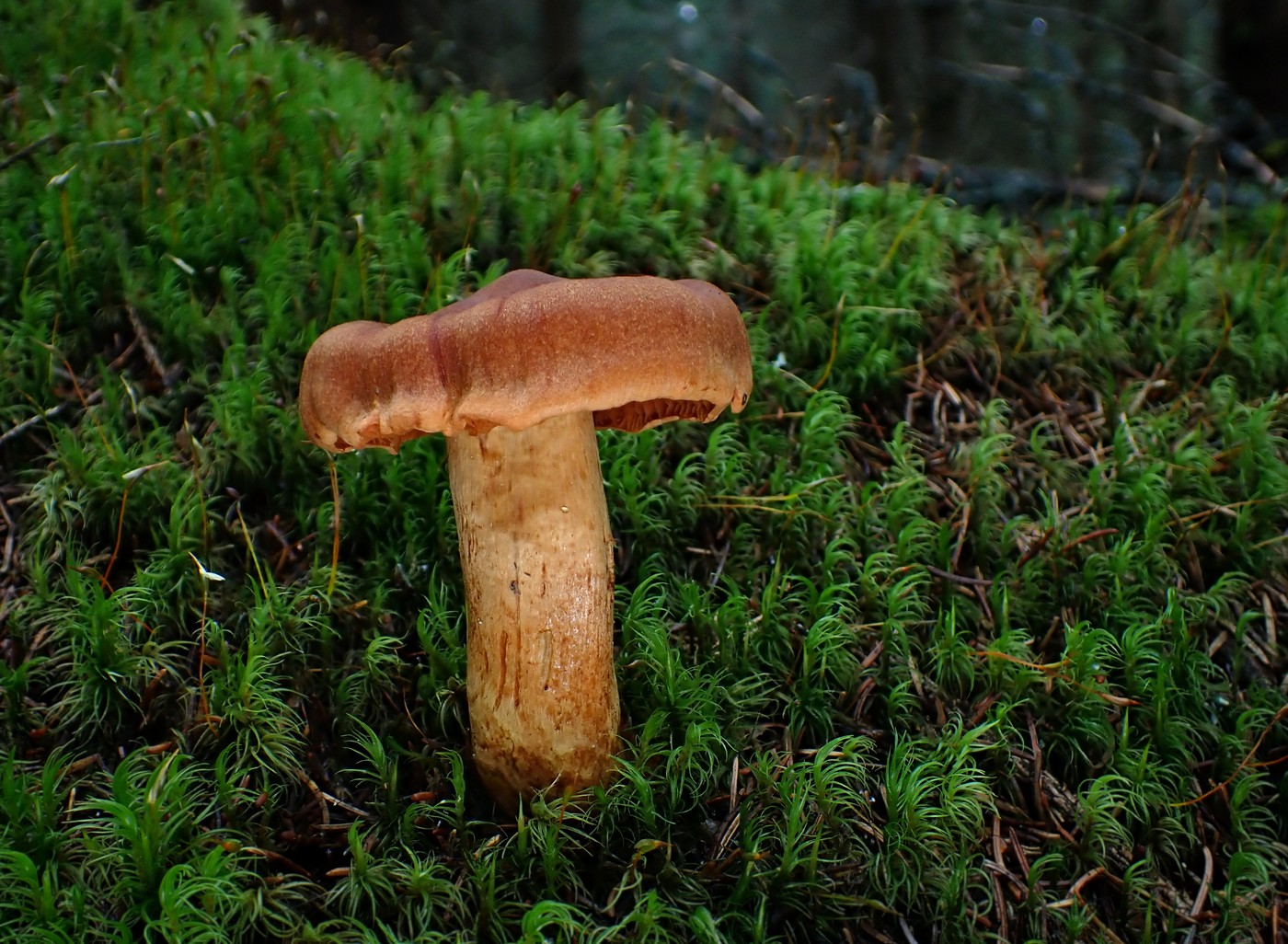 20250916 Myko Harr (5)