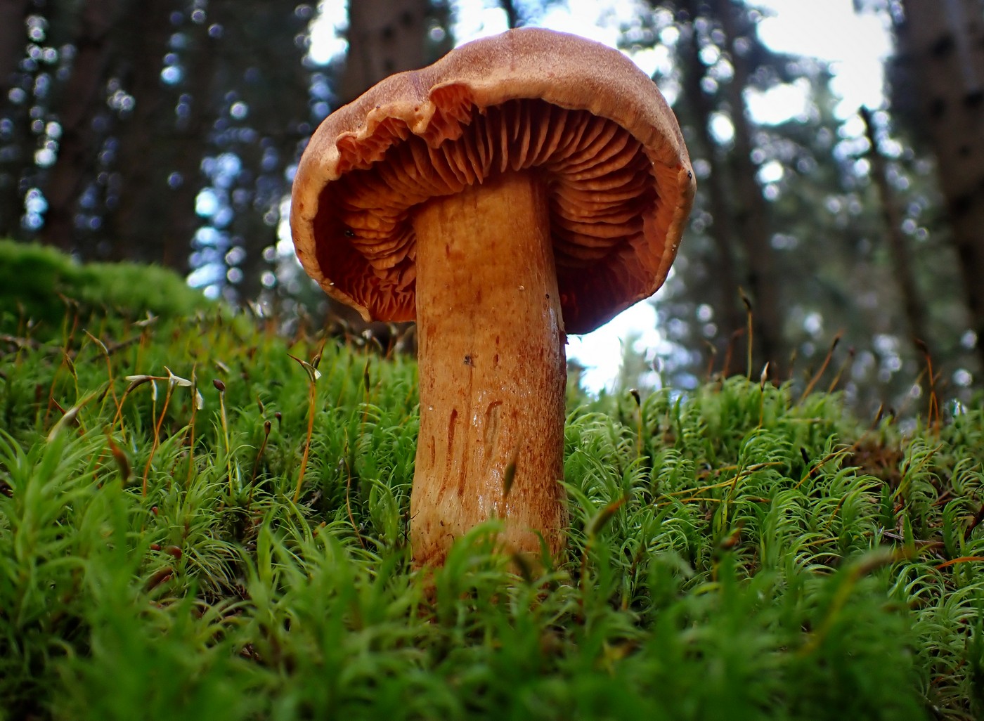 20250916 Myko Harr (6)