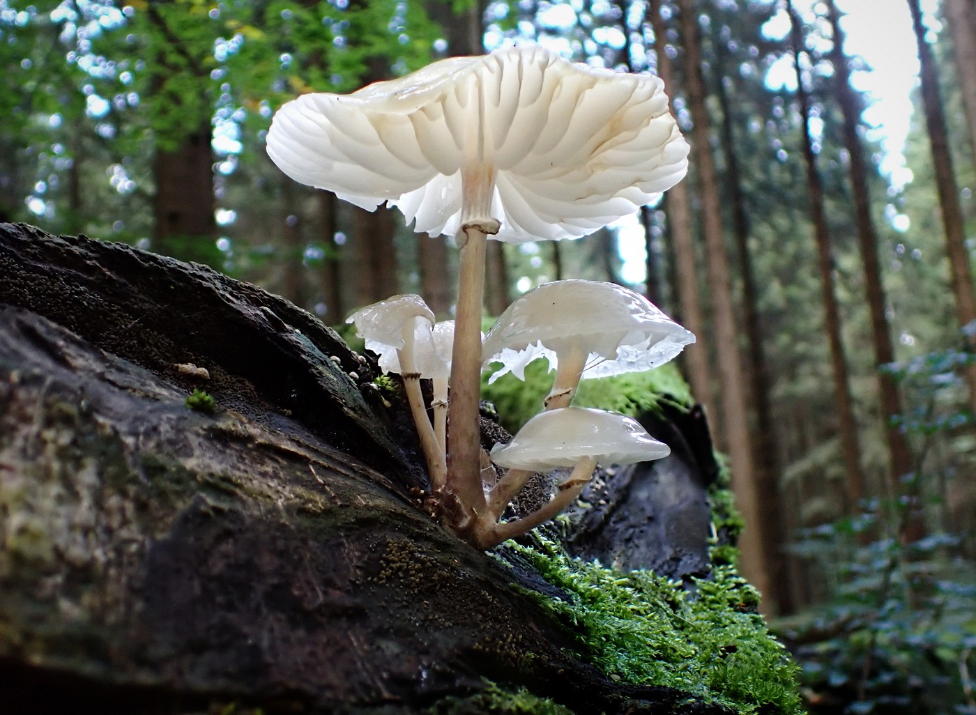 20250916 Myko Harr (7)