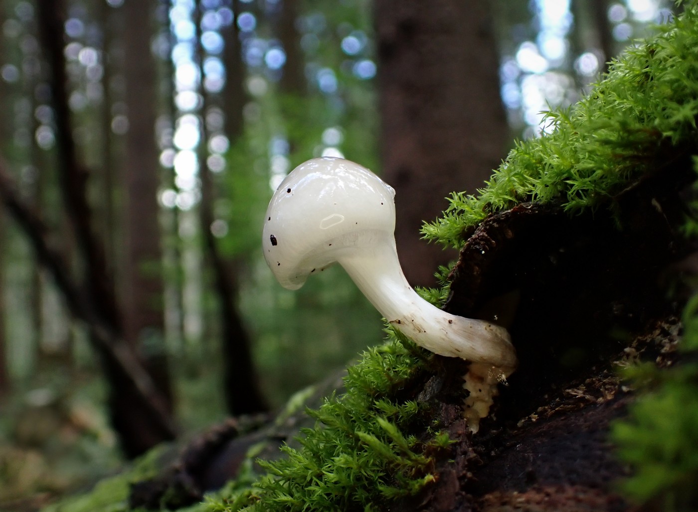 20250916 Myko Harr (8)