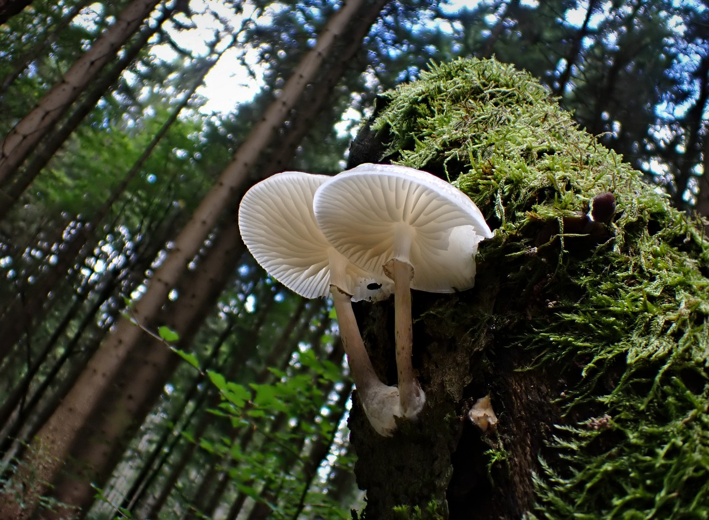 20250916 Myko Harr (9)