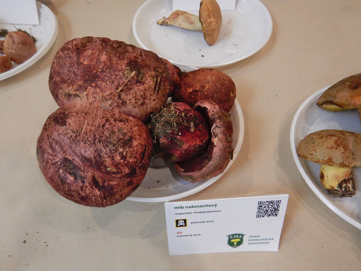 20250926 CMS Vystava (15)