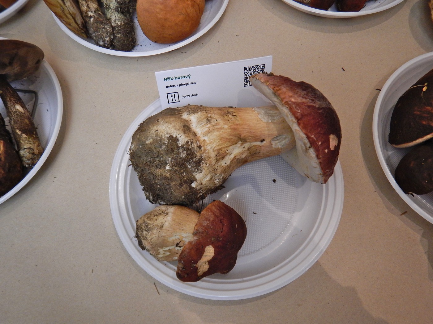 20250926 CMS Vystava (16)