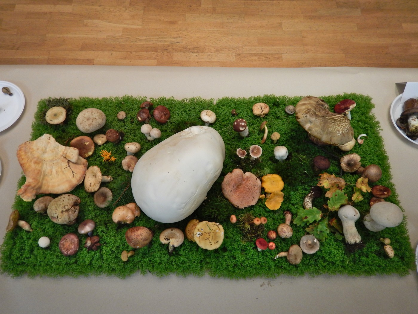 20250926 CMS Vystava (17)