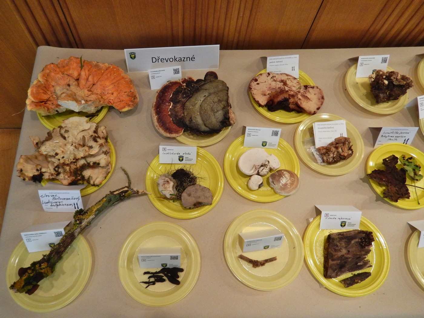 20250926 CMS Vystava (18)