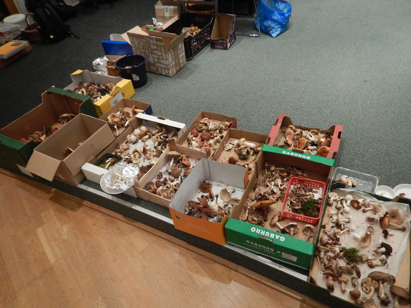 20250926 CMS Vystava (20)