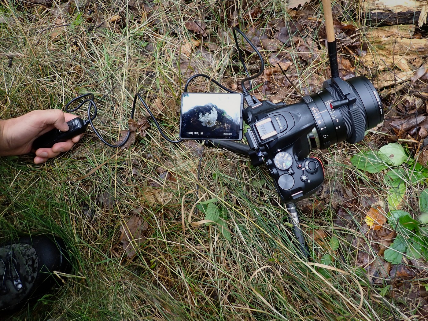 20250927 Myko Beroun (19)